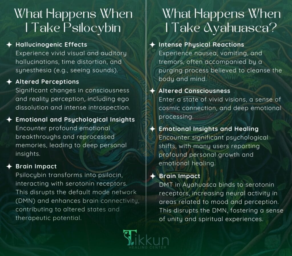 What Happens When I Take Psilocybin or Ayahuasca
