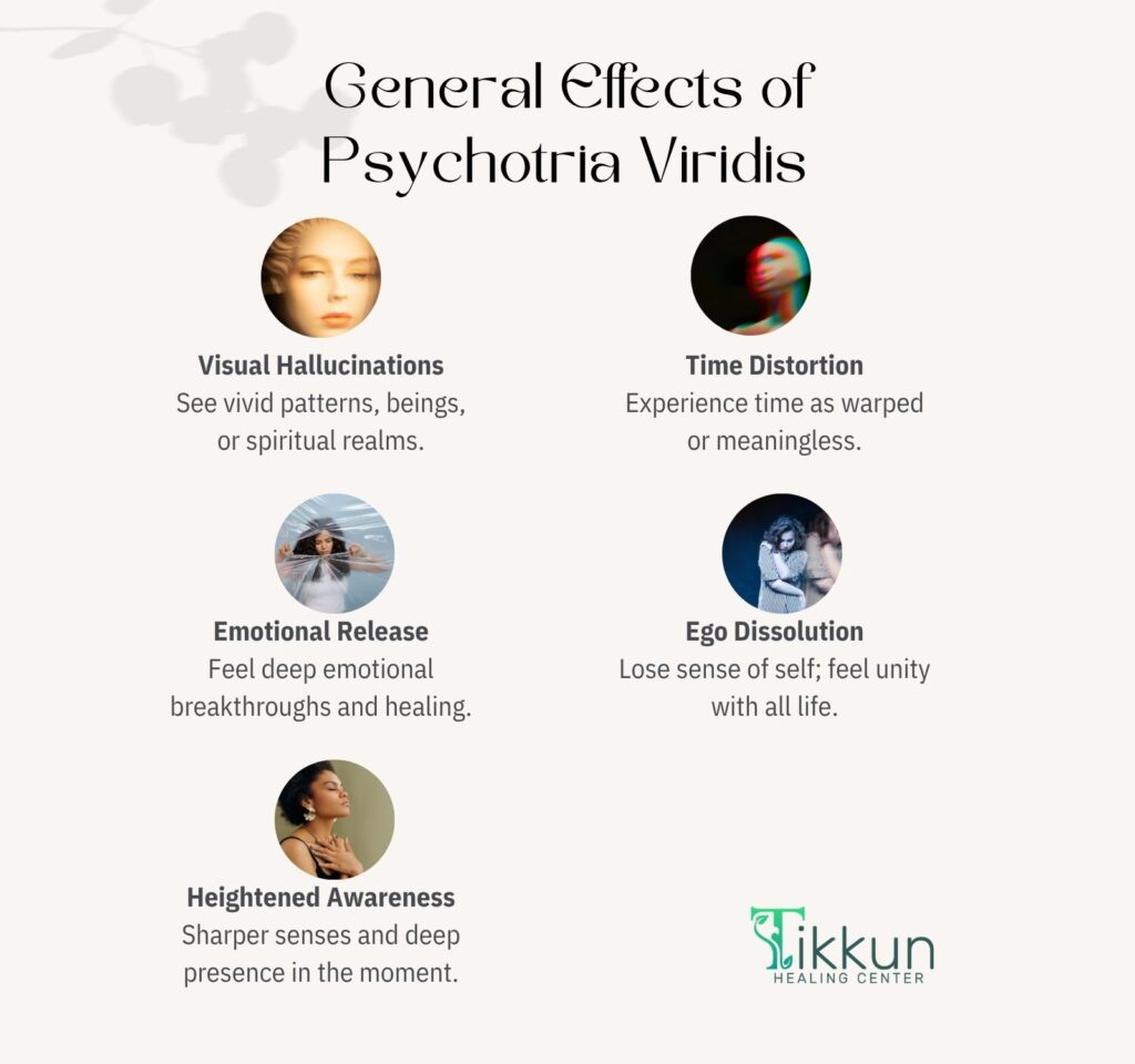 General Effects of Psychotria Viridis
