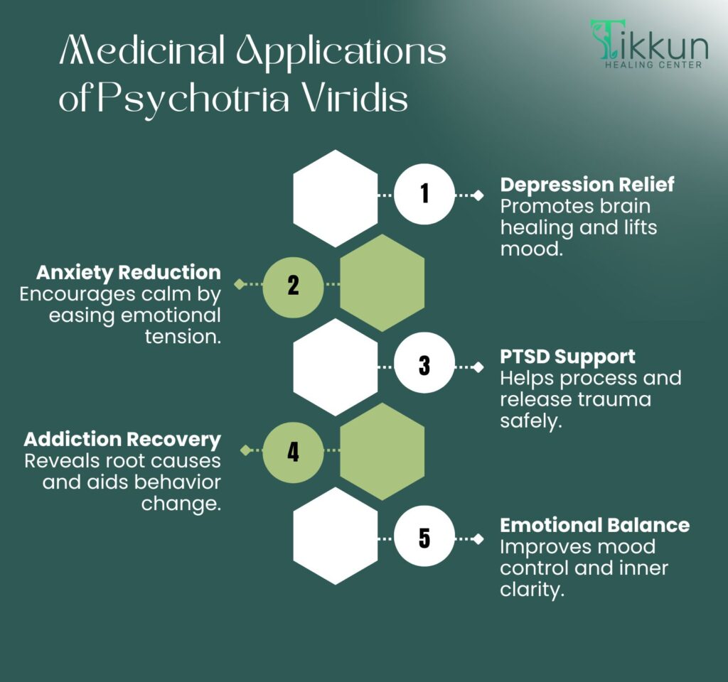 Medicinal Applications of Psychotria Viridis