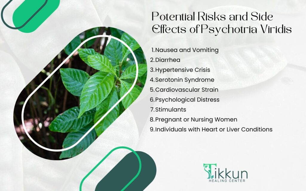 Potential Risks and Side Effects of Psychotria Viridis