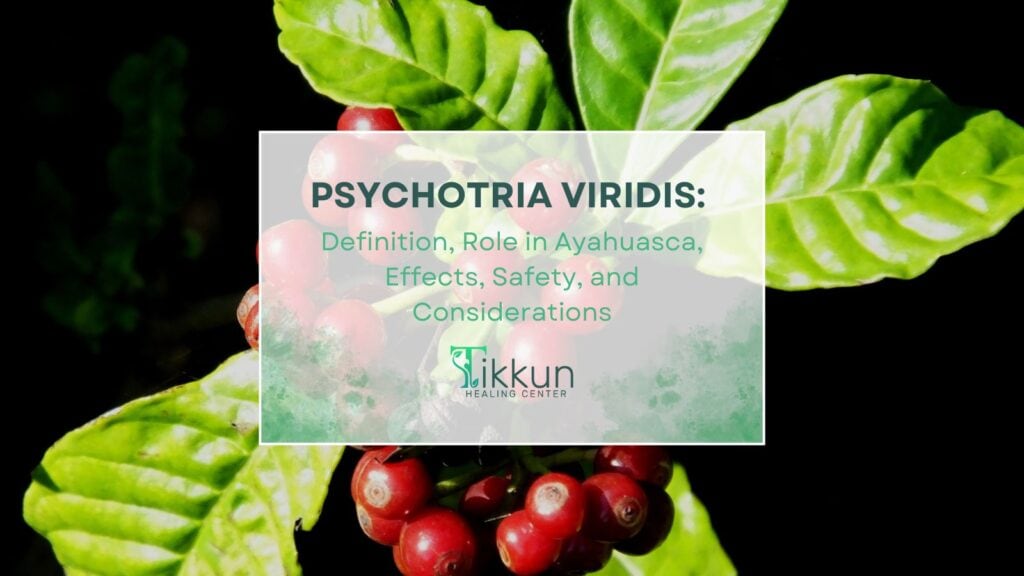 ALT: "Psychotria Viridis plant with red berries, highlighting its role in Ayahuasca healing at Tikkun Healing Center, emphasizing safety and personal growth."