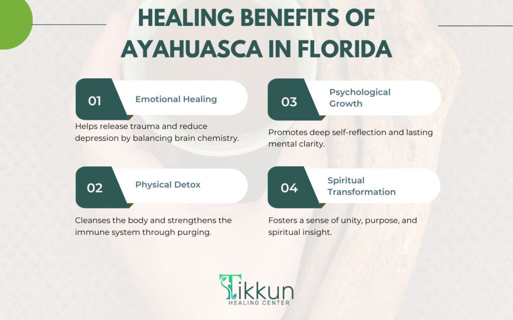 Healing Benefits of Ayahuasca in Florida