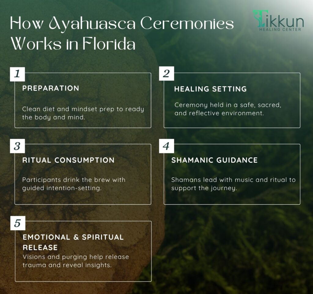 How Ayahuasca Ceremonies Works in Florida