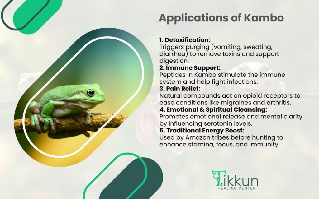 Applications of Kambo
