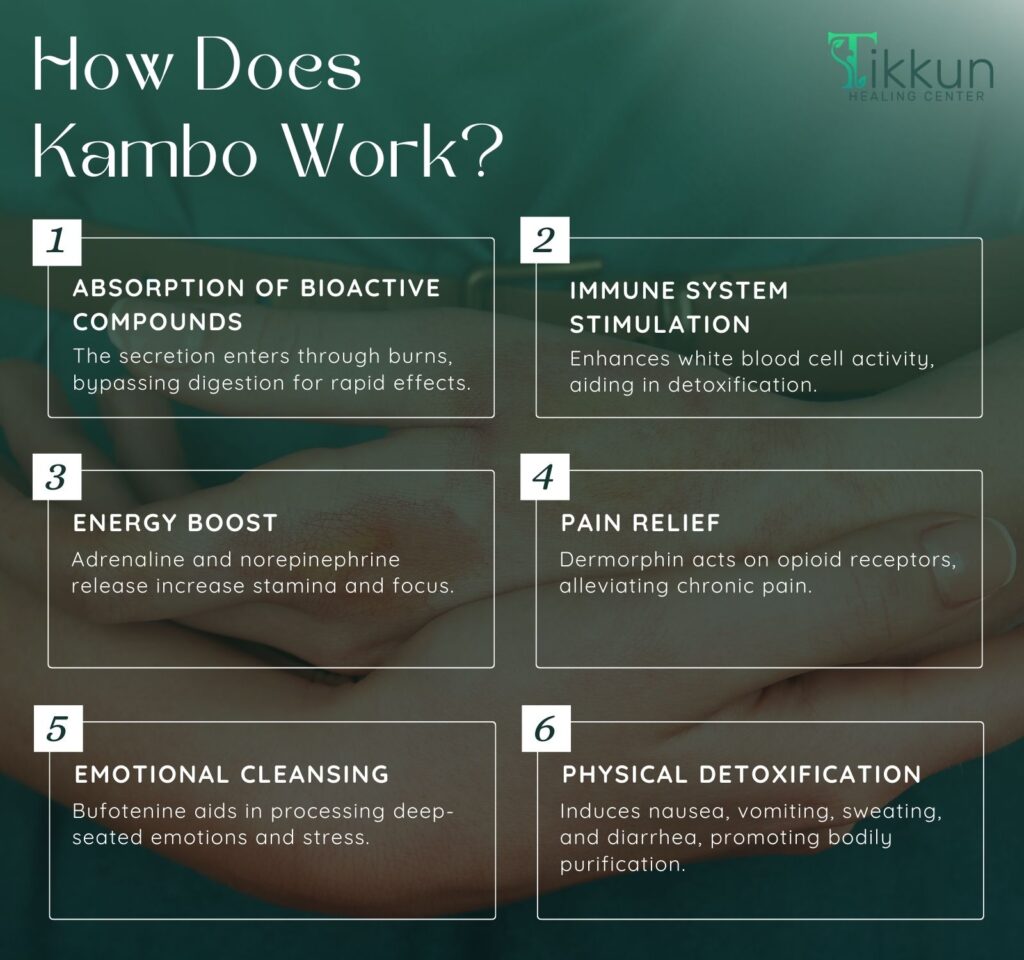 How Does Kambo Work
