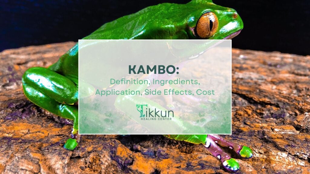 ALT tag: "Kambo healing session at At Tikkun Healing Center, featuring a vibrant green frog on a log, highlighting definition, ingredients, application, side effects, and cost information."