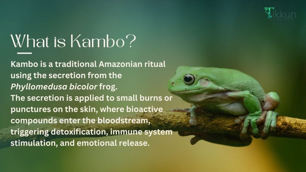 What is Kambo