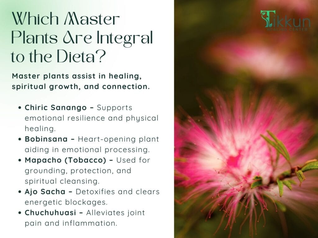 Which Master Plants Are Integral to the Dieta