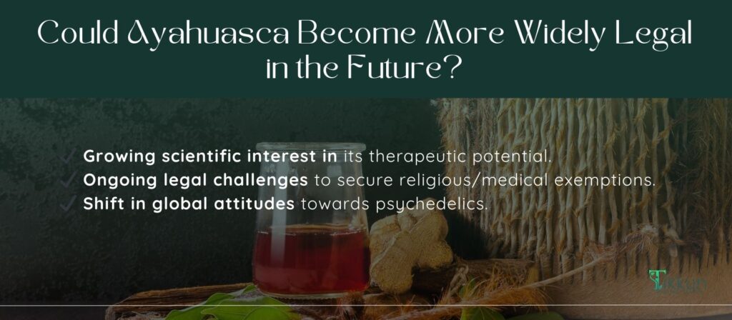 Could Ayahuasca Become More Widely Legal in the Future