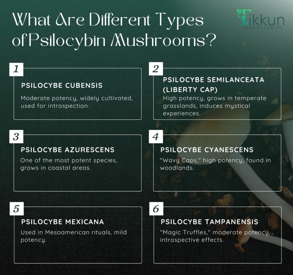 What Are Different Types of Psilocybin Mushrooms