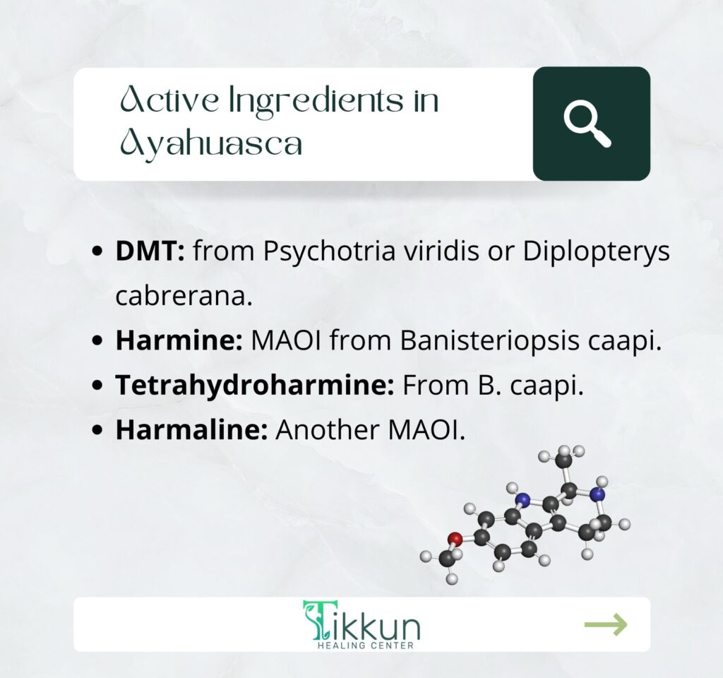 Active Ingredients in Ayahuasca