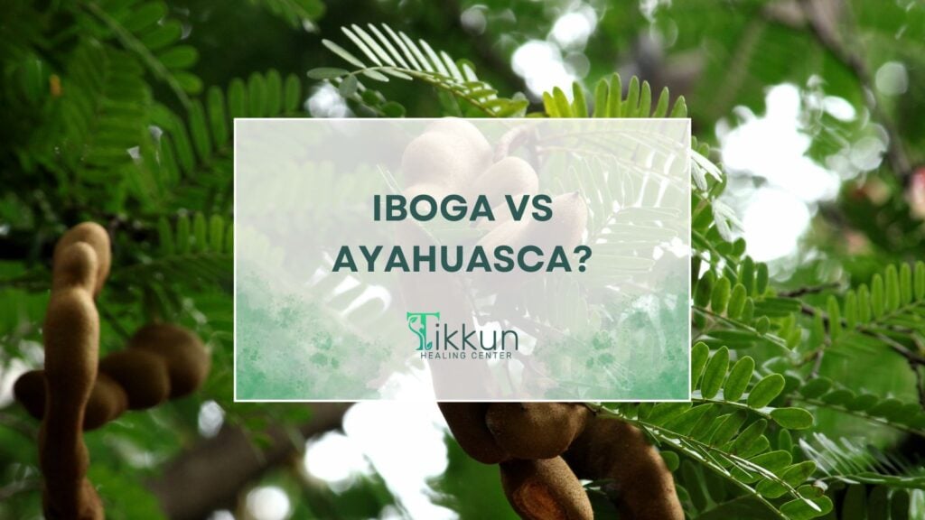 "Comparison of Iboga and Ayahuasca at Tikkun Healing Center, exploring sacred plant medicine therapies in a supportive healing environment."