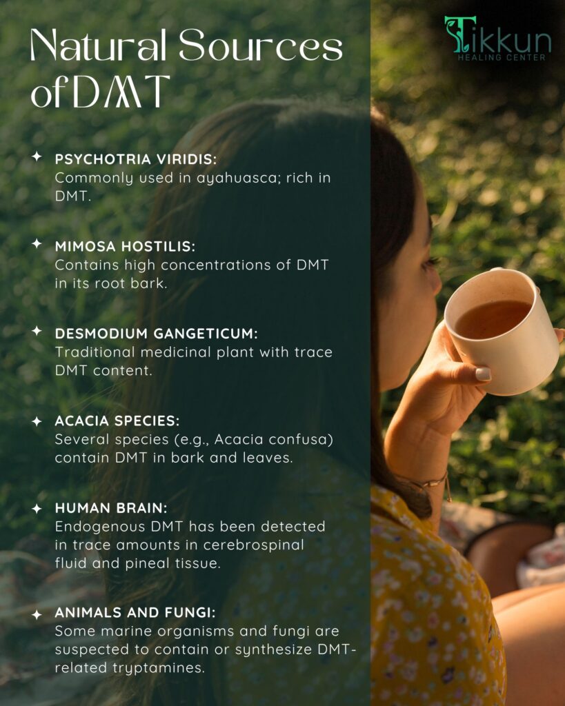 Natural Sources of DMT