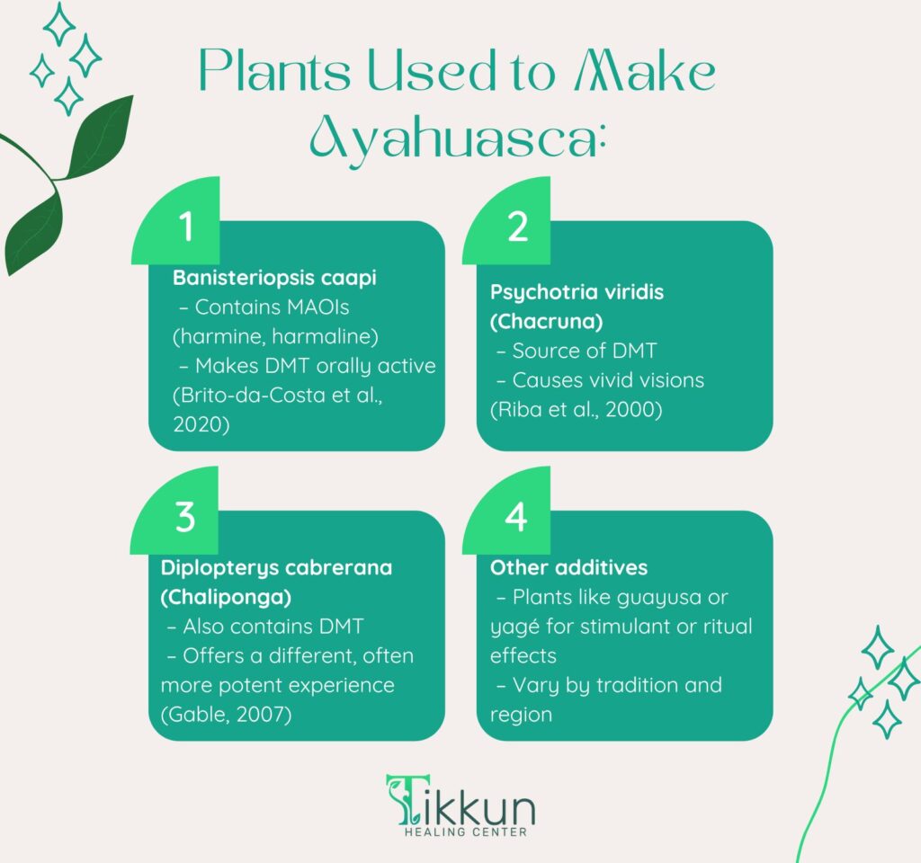 Plants Used to Make Ayahuasca