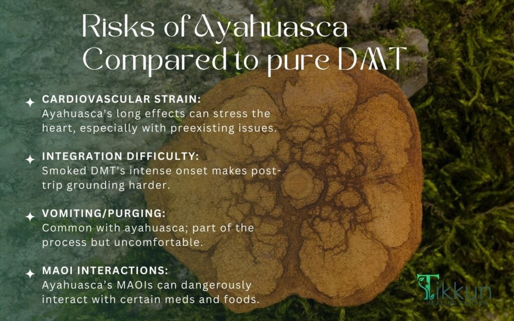 Risks of Ayahuasca Compared to pure DMT