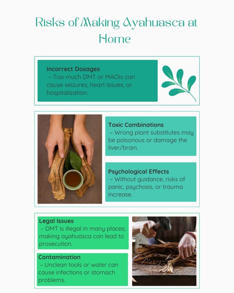Risks of Making Ayahuasca at Home