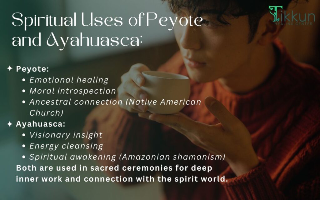 Spiritual Uses of Peyote and Ayahuasca