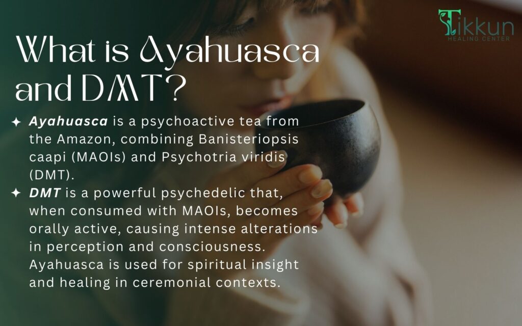 What is Ayahuasca and DMT