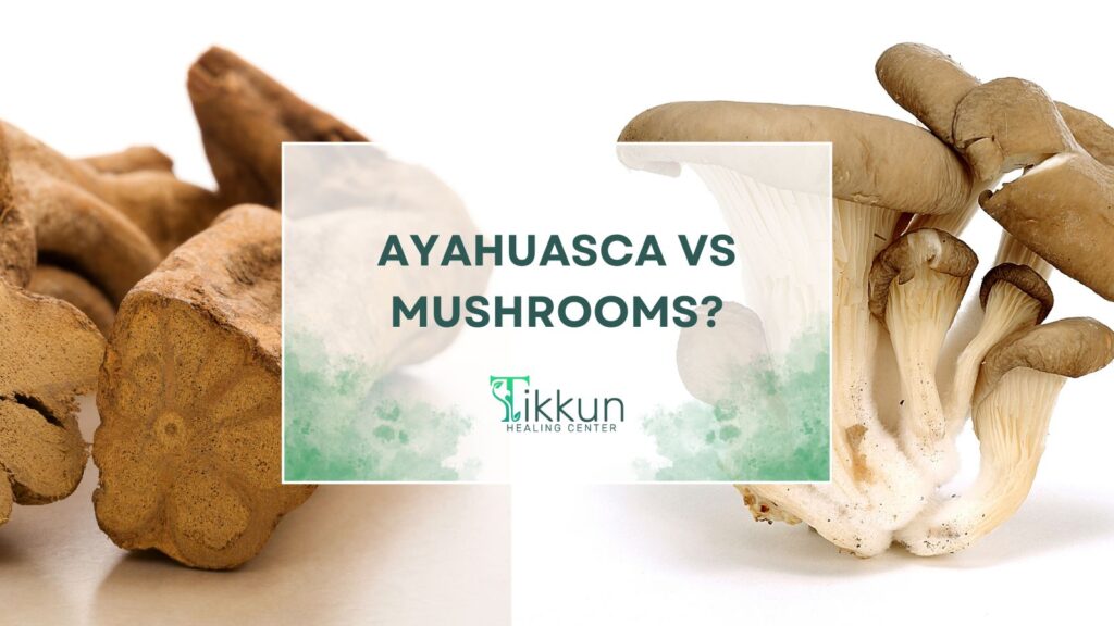 "Comparison of Ayahuasca and Mushrooms for Healing at Tikkun Center – Discover Safe, Sacred Spaces for Personal Transformation"
