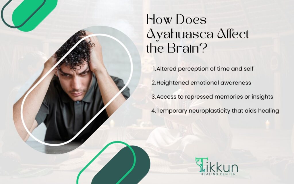 How Does Ayahuasca Affect the Brain