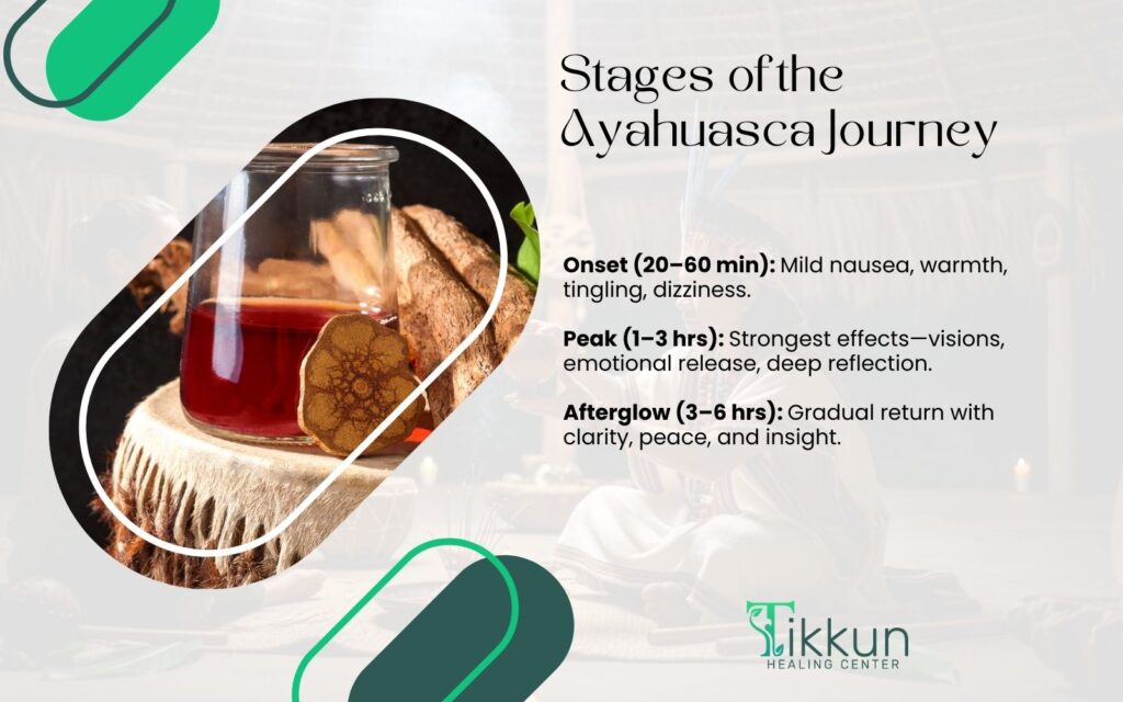 Stages of the Ayahuasca Journey